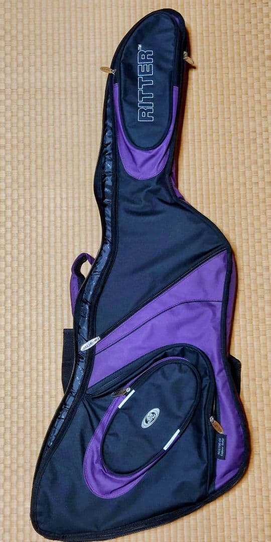 フェルナンデスエクスプローラーEX-145 ジャパンビンテージ　ギブソン風