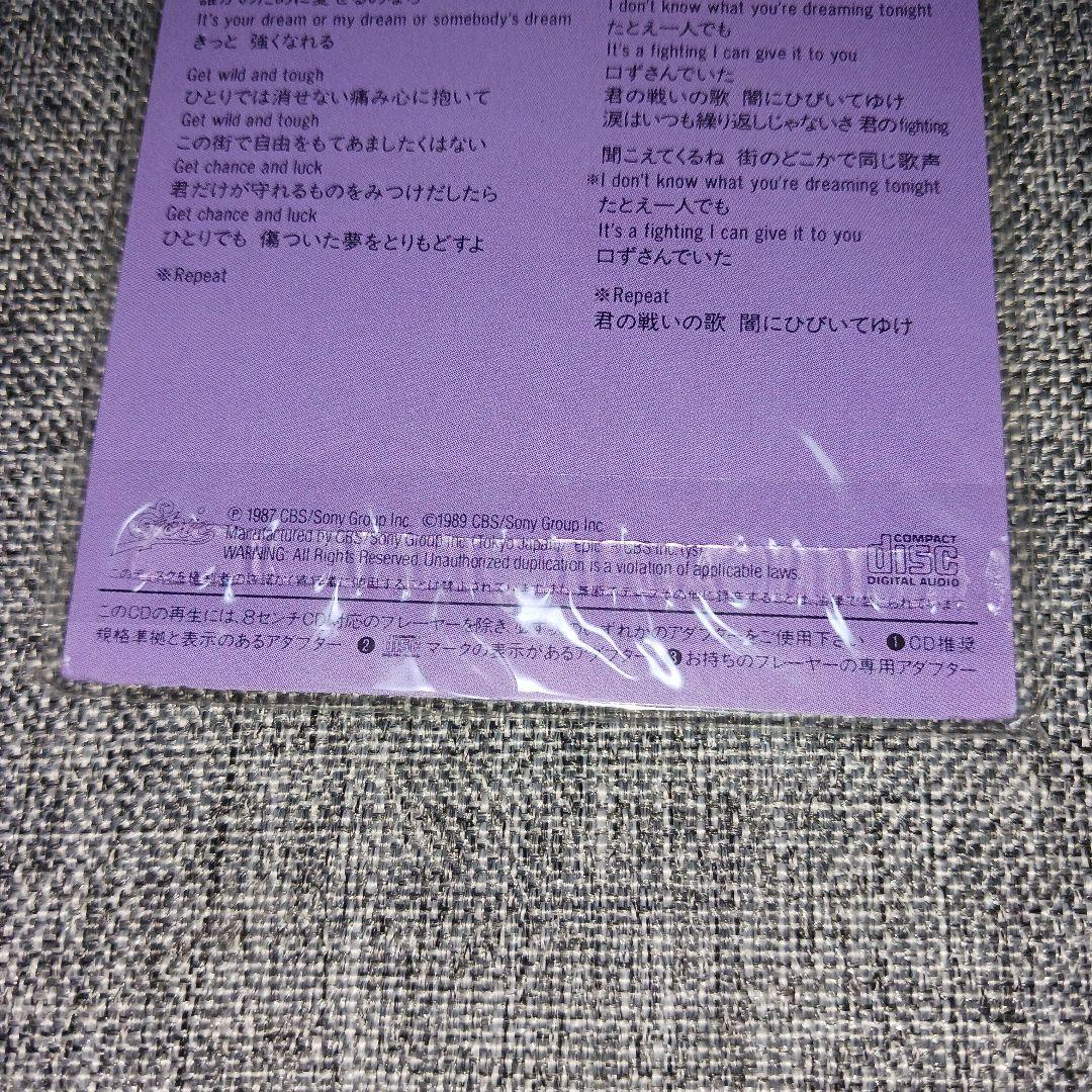 【激レア新品未開封】TM NETWORK/Get Wild シティハンター