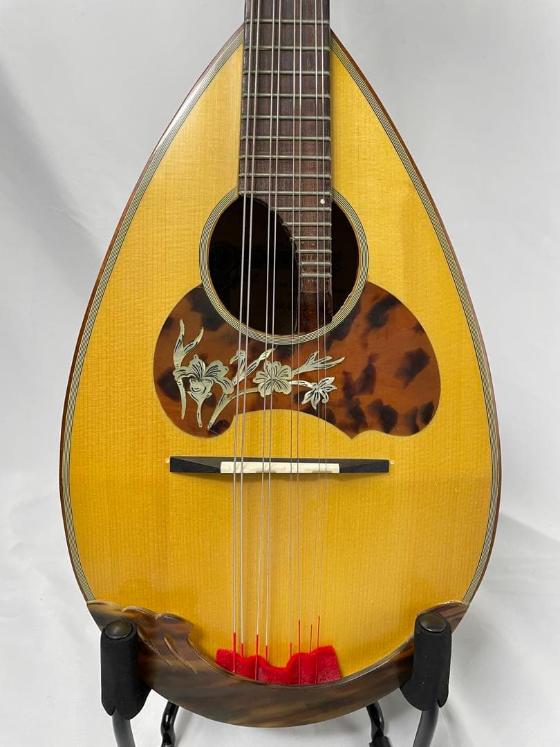 ラファエル・カラーチェ No.26 マンドリン