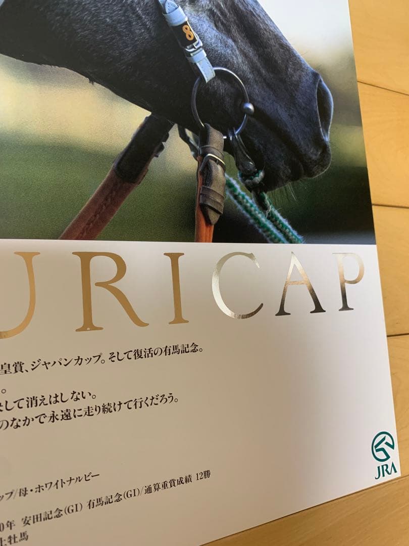 ヒーロー列伝　初期　オグリキャップ　シルバー　　B3 ポスター　JRA