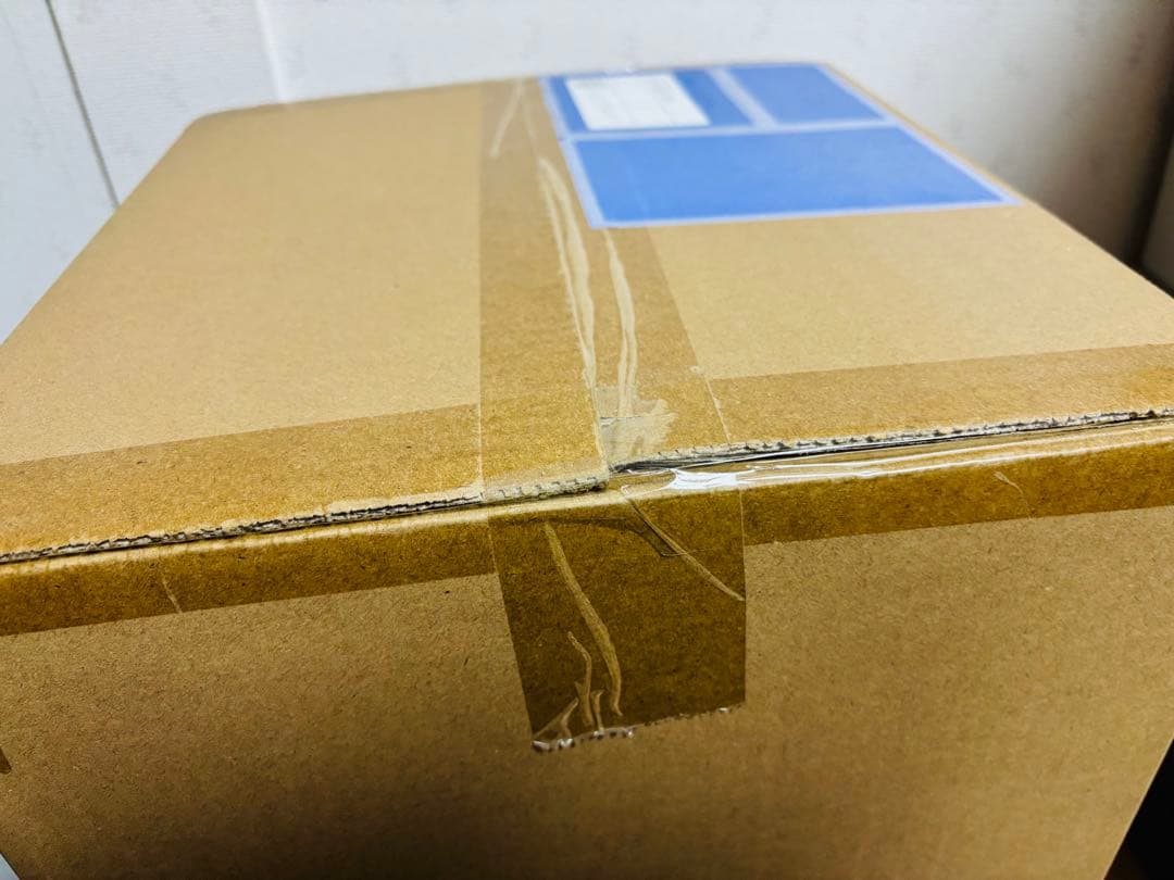 ベストワークスセレクション ゴジラ（2004） 少年リック限定版 輸送箱未開封