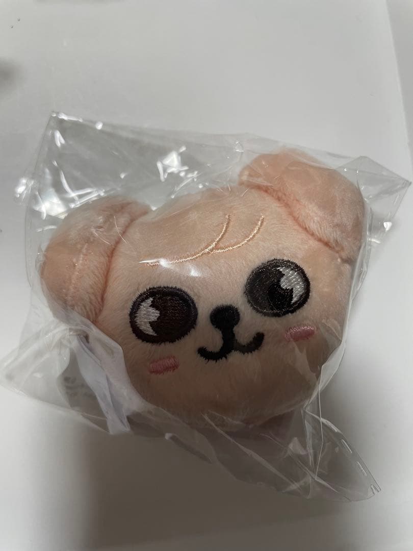 straykids スキズ skzoo ぬいぐるみマグネット コンプリート　新品