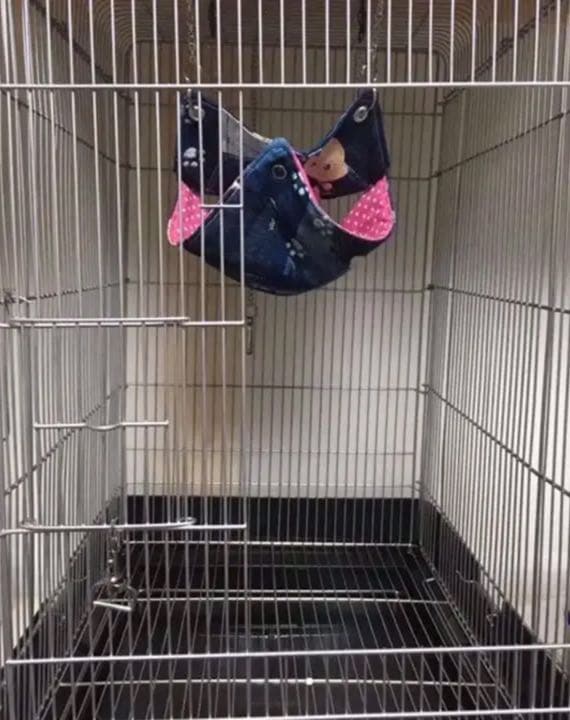 モモンガハウス（迷彩柄・ピンク）秋・春仕様  1900円