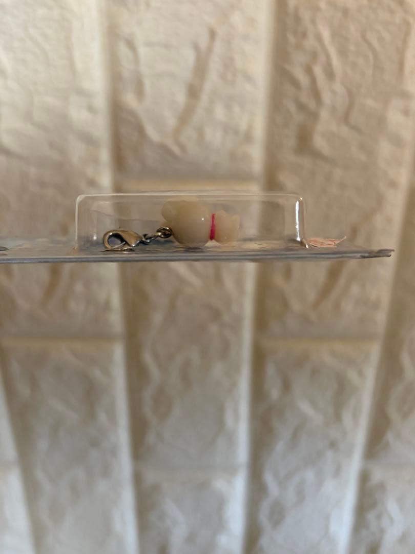 希少 ご当地キティ【北海道限定】4点セット 雪うさぎ 根付 ファスナーマスコット