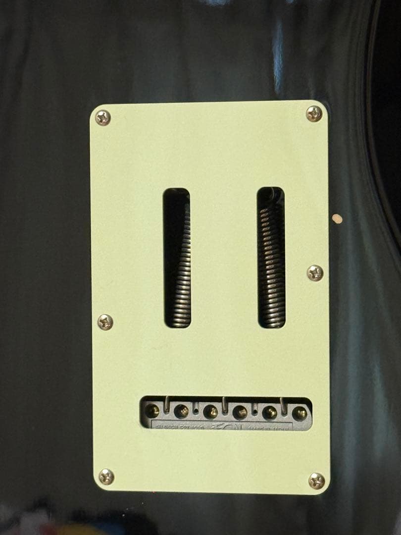 フジゲン　FGN NST12RAL P90ストラト