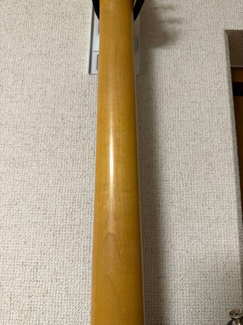 フジゲン　FGN NST12RAL P90ストラト