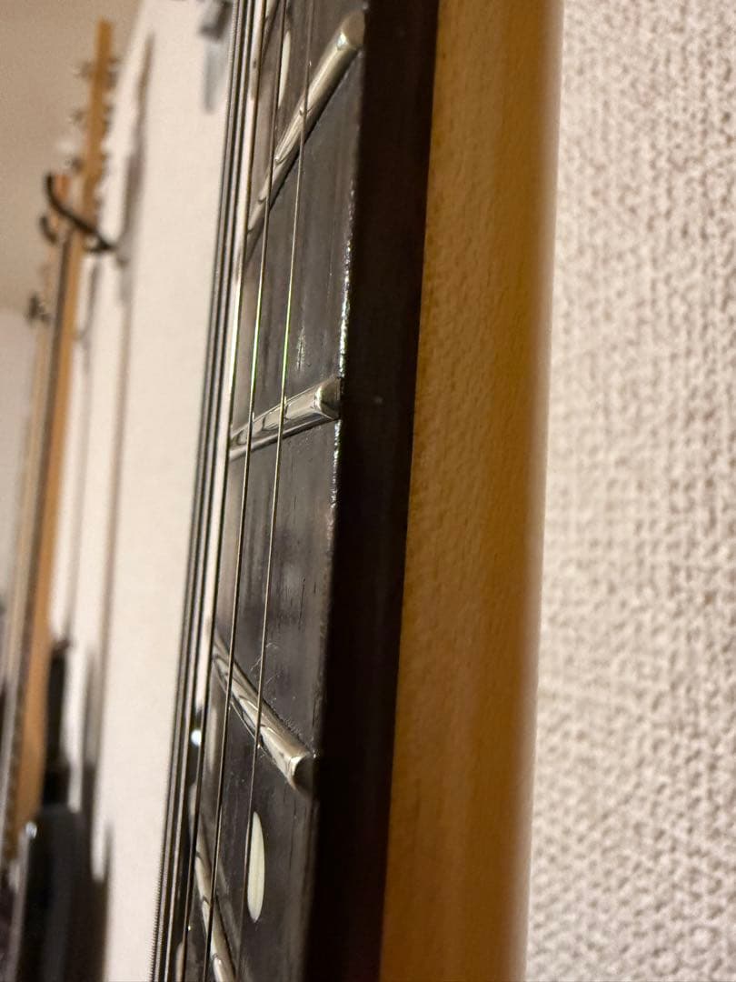 フジゲン　FGN NST12RAL P90ストラト