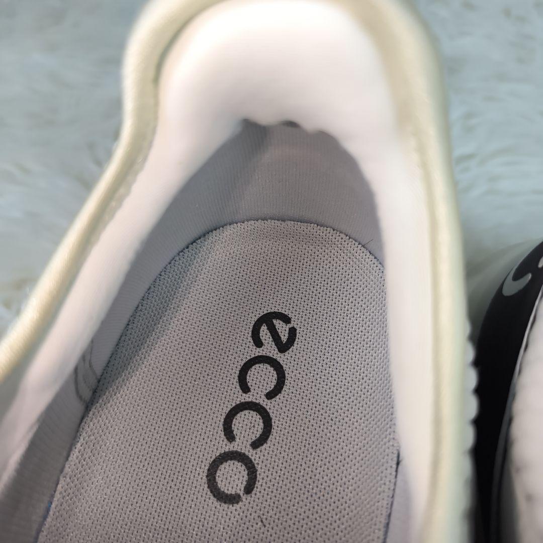 未使用級✨ エコー バイオム C4 ゴルフシューズ ゴアテックス 防水 ボア 白