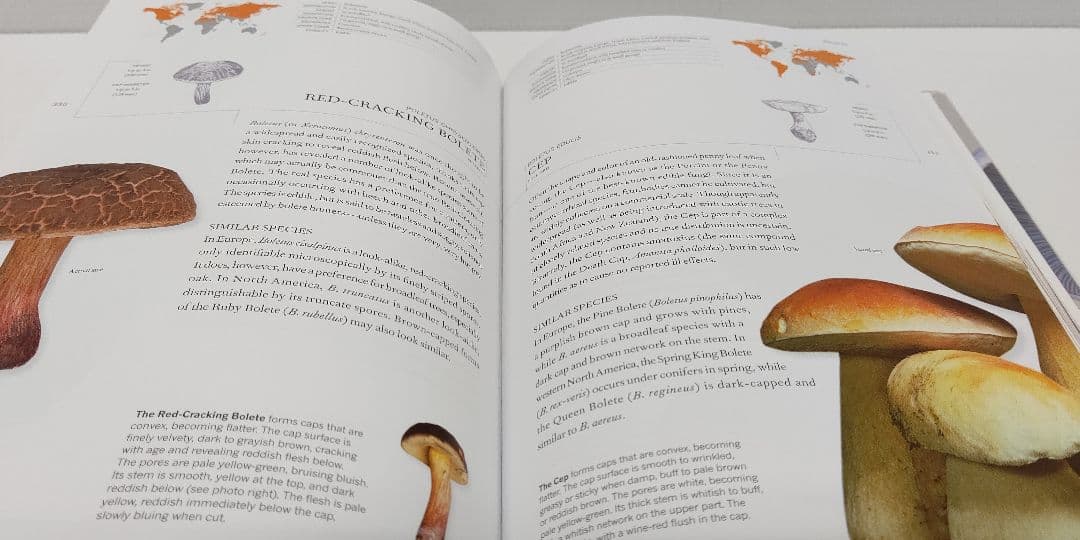 『 THE BOOK OF FUNGI 』世界きのこ大図鑑 オリジナル英語版