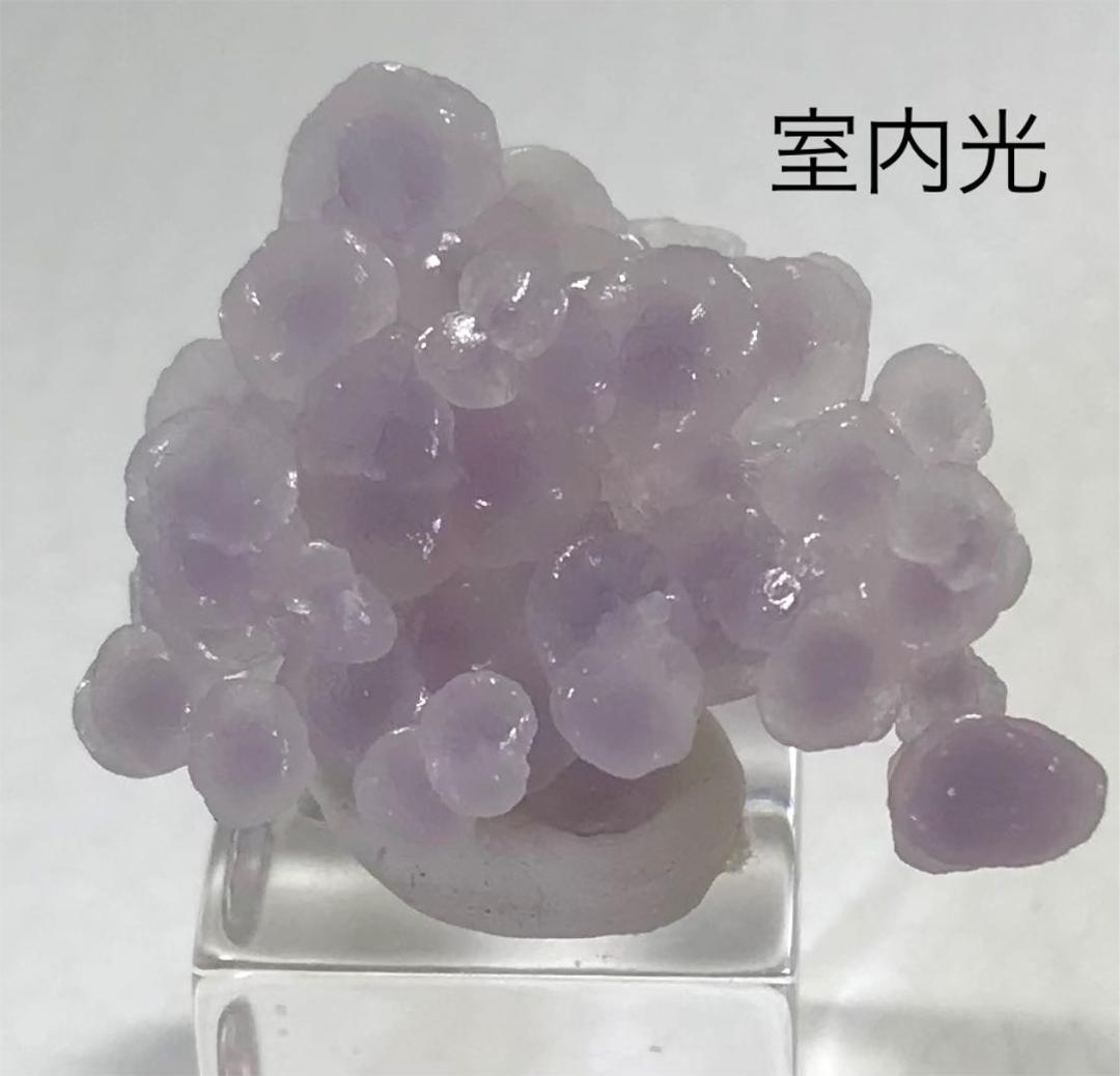 No.6 レア　ドゥルージー　グレープアゲート　グレープカルセドニー