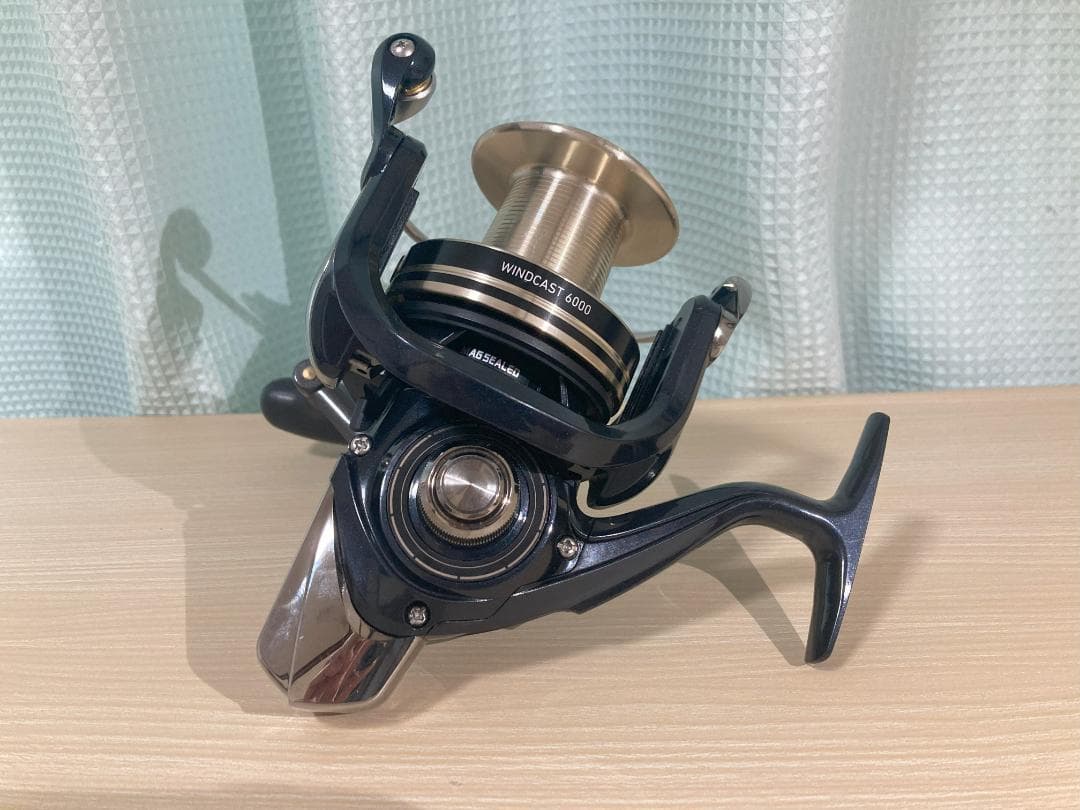 ダイワ 17 WINDCAST ウインドキャスト 6000