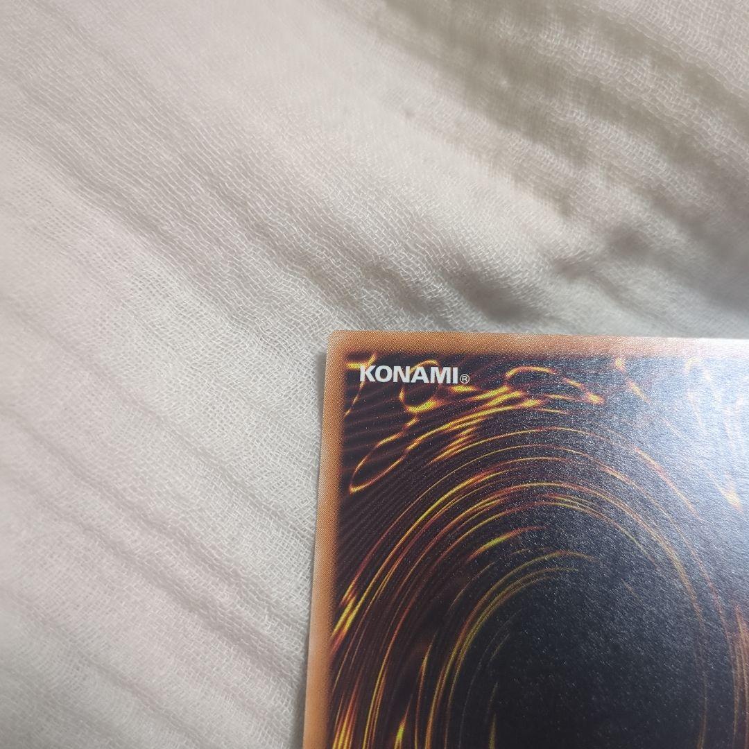 み*こ様 遊戯王ブラックデーモンズドラゴンレリーフ