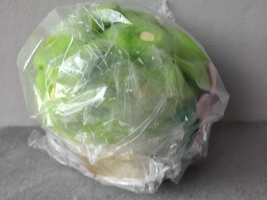 ポケモン　ぬいぐるみまとめて　フタチマル　マホイップ　ライチュウドール　他