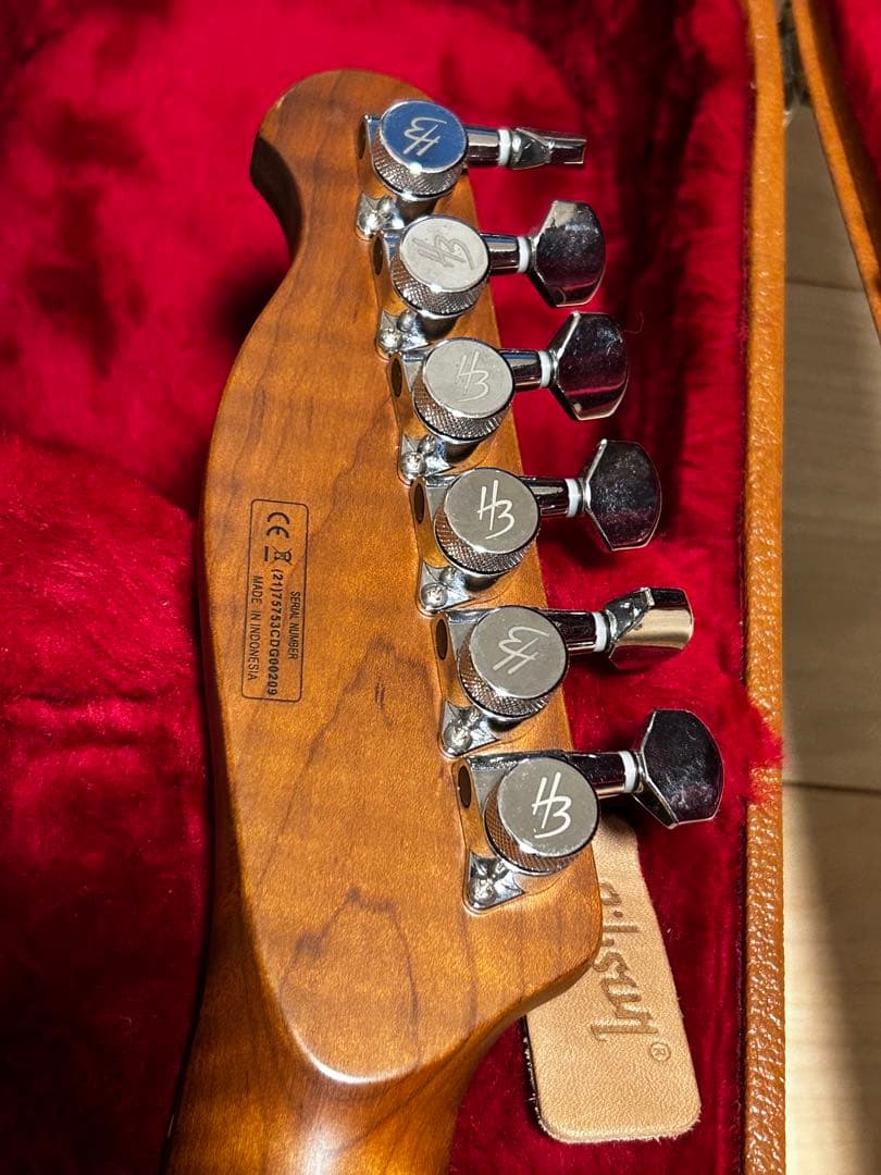 ギター Harley Benton Fusion-T HH Roasted