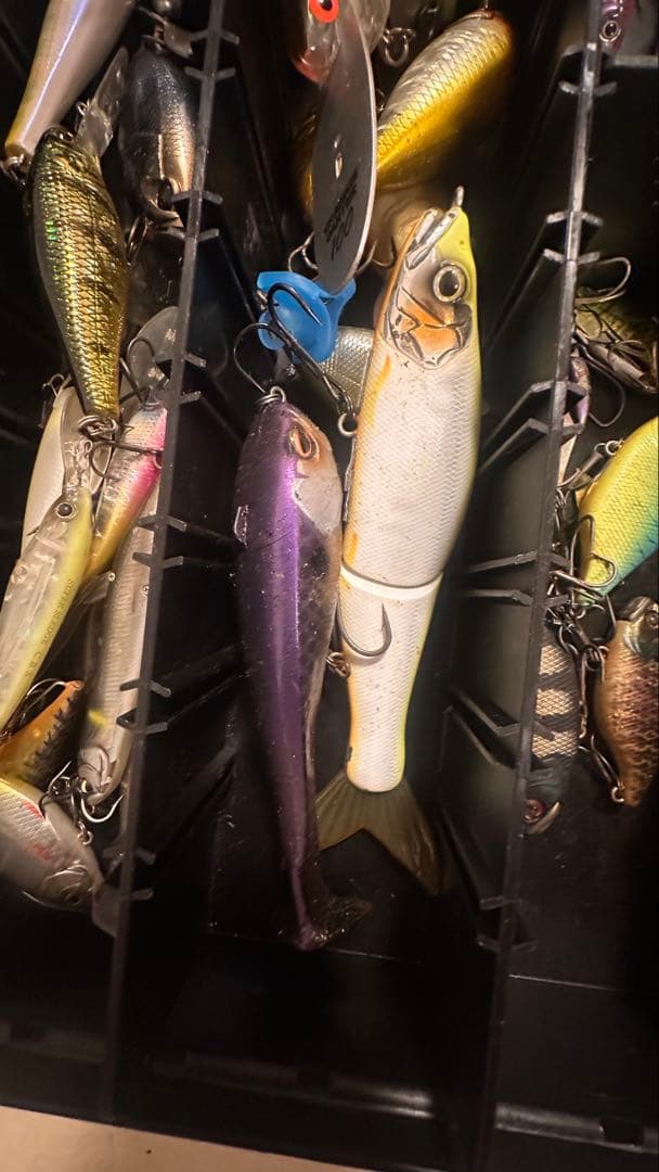 バス釣り引退セット 早い者勝ち！ シマノ ダイワ