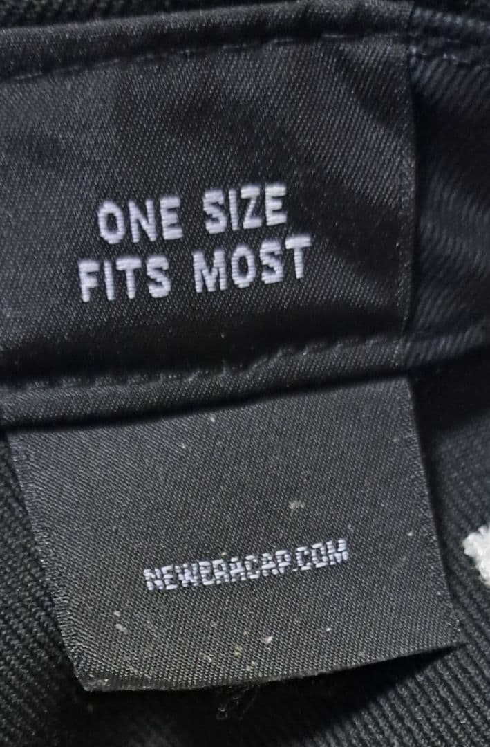 東京ディズニーリゾート ミッキーマウス　ドナルドダック 　コラボ　キャップ