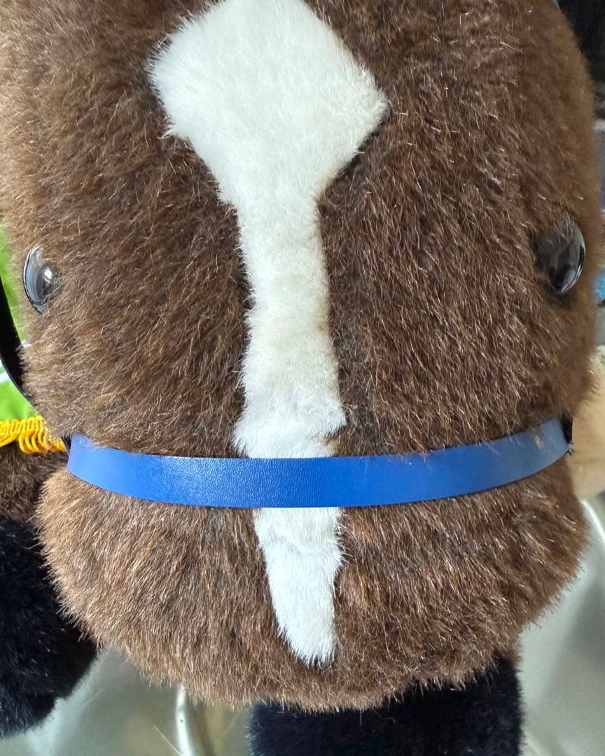 ドバイシーマクラシック　ハーツクライ　特大