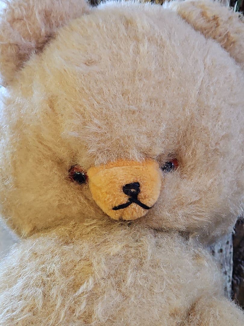 DDRベア ベビーフェイスが可愛い大きな子 ʕ•ᴥ•ʔ