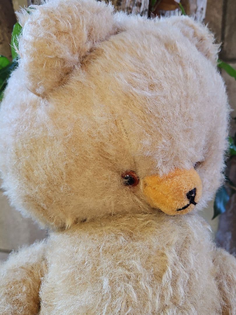 DDRベア ベビーフェイスが可愛い大きな子 ʕ•ᴥ•ʔ