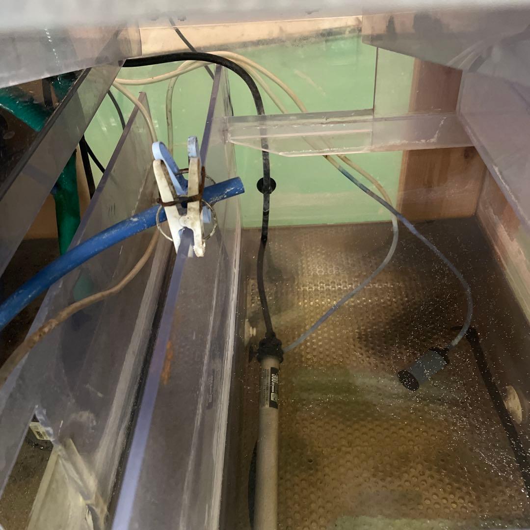 オーバーフロー水槽 引き取り限定