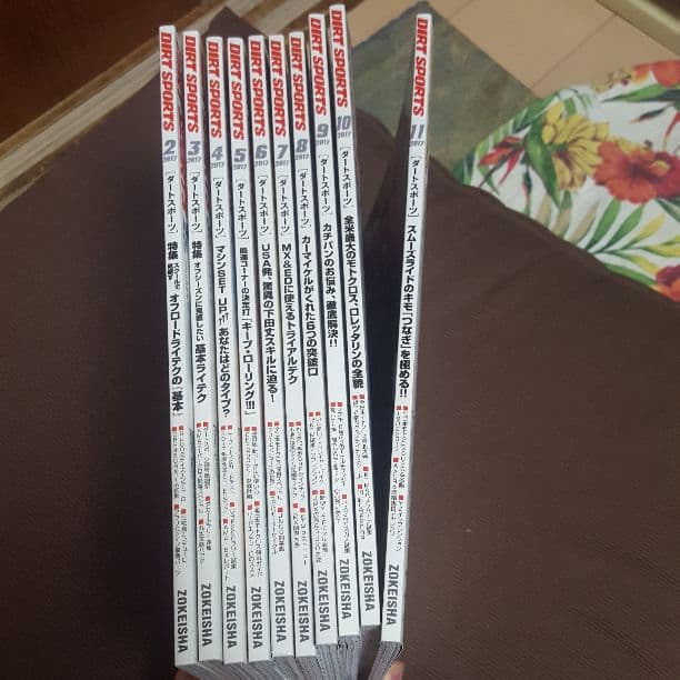 ダートスポーツ2017　2月～11月３月抜き