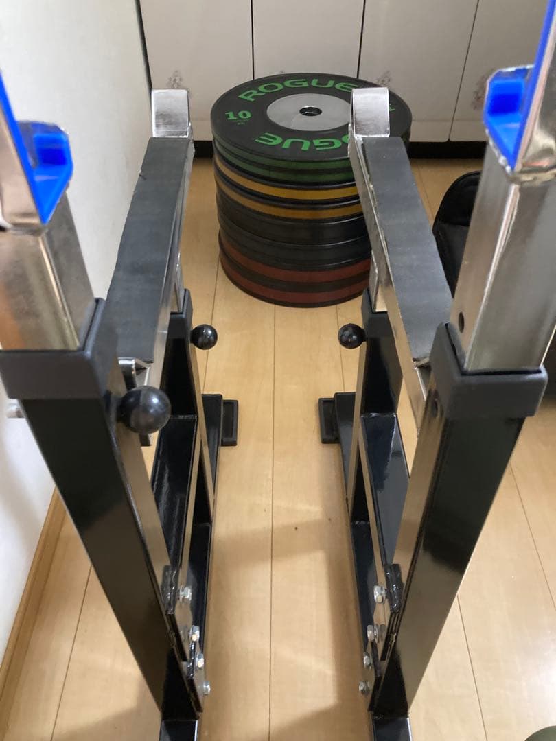 ROGUE ウエイトプレートセット バンパープレート