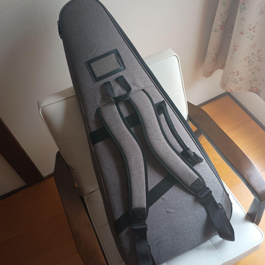 ギター .strandberg* Salen Classic