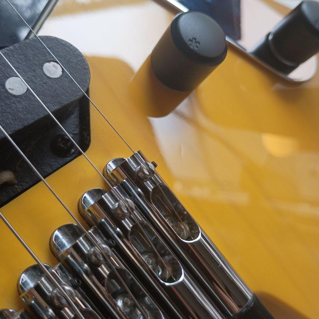 ギター .strandberg* Salen Classic