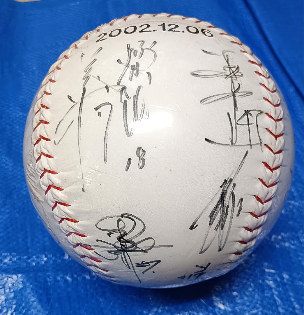 2002 MIZUNO プロ野球 寄書き 直筆サインボール