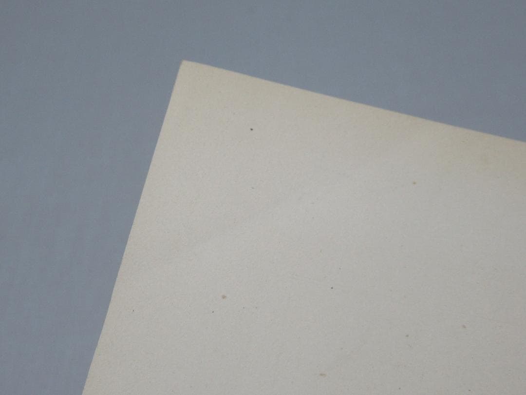 1865年スチール彫刻版画◆仏製ファッション画『ヒッポライト・ポーケ』PL.70