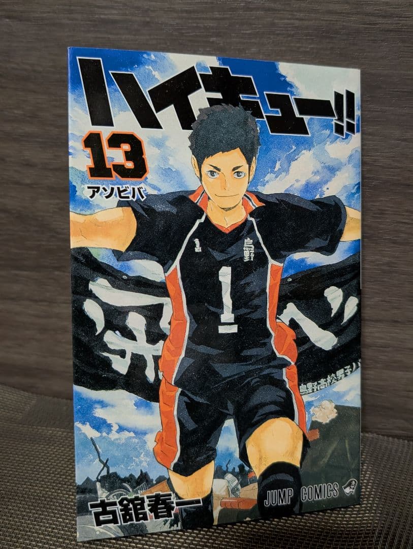 【49冊】ハイキュー!! 1〜45巻 TVアニメチームブック/セイシュンメイカン