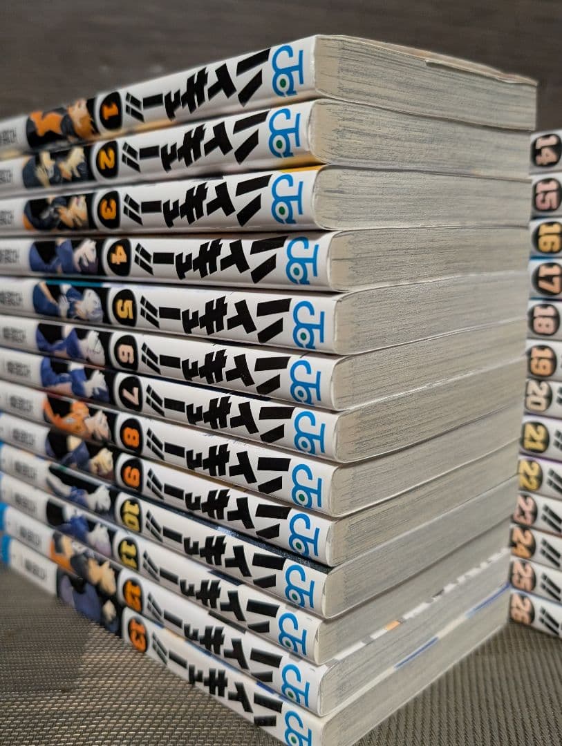 【49冊】ハイキュー!! 1〜45巻 TVアニメチームブック/セイシュンメイカン