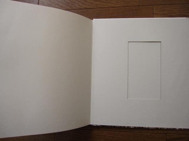 SYNTHESIS　シンセシス　名和晃平　Kohei Nawa