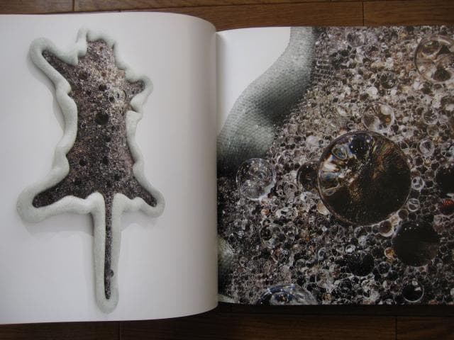 SYNTHESIS　シンセシス　名和晃平　Kohei Nawa