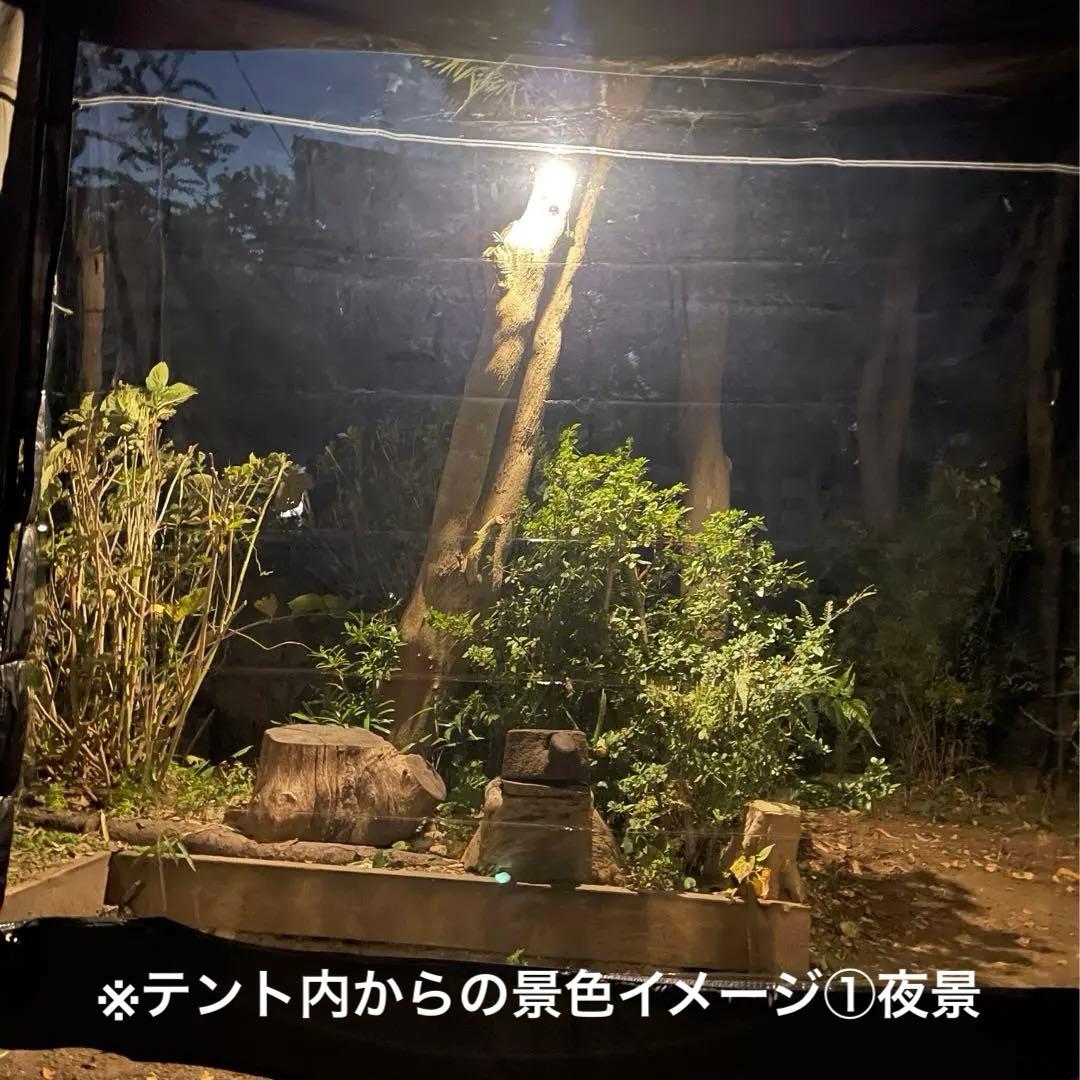 FUTURE FOX BASE EVO TPU前幕(透明窓)カスタム特注品