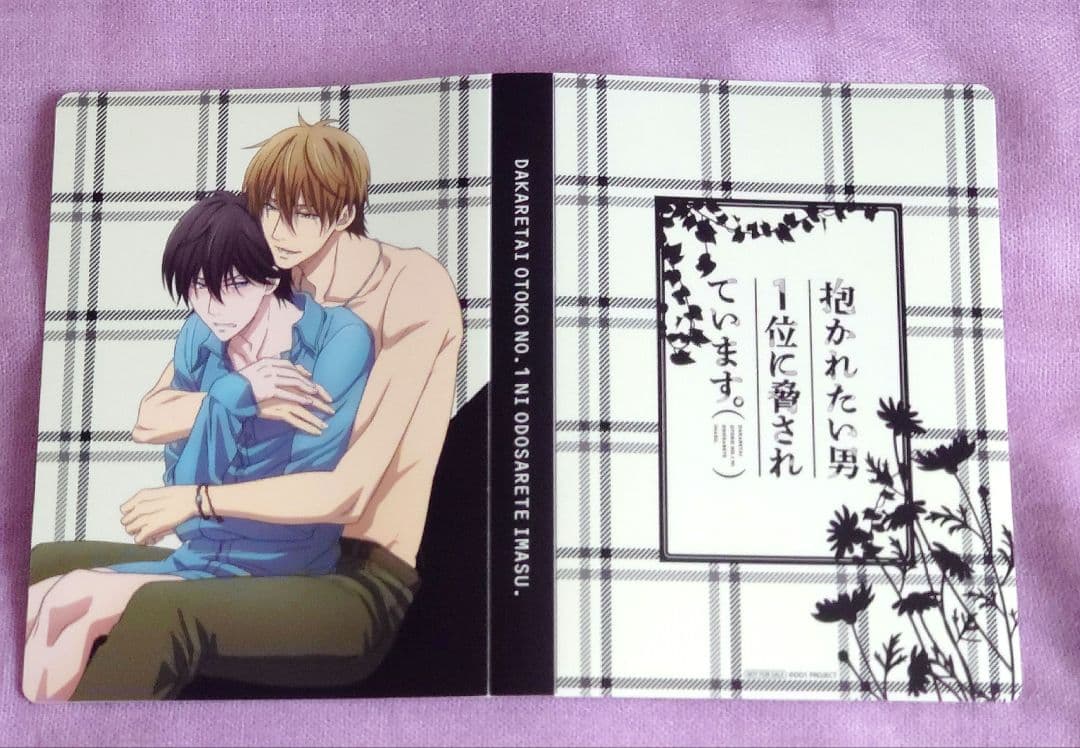 抱かれたい男1位に脅されています だかいち アニメイト 特典小冊子 フォルダー付