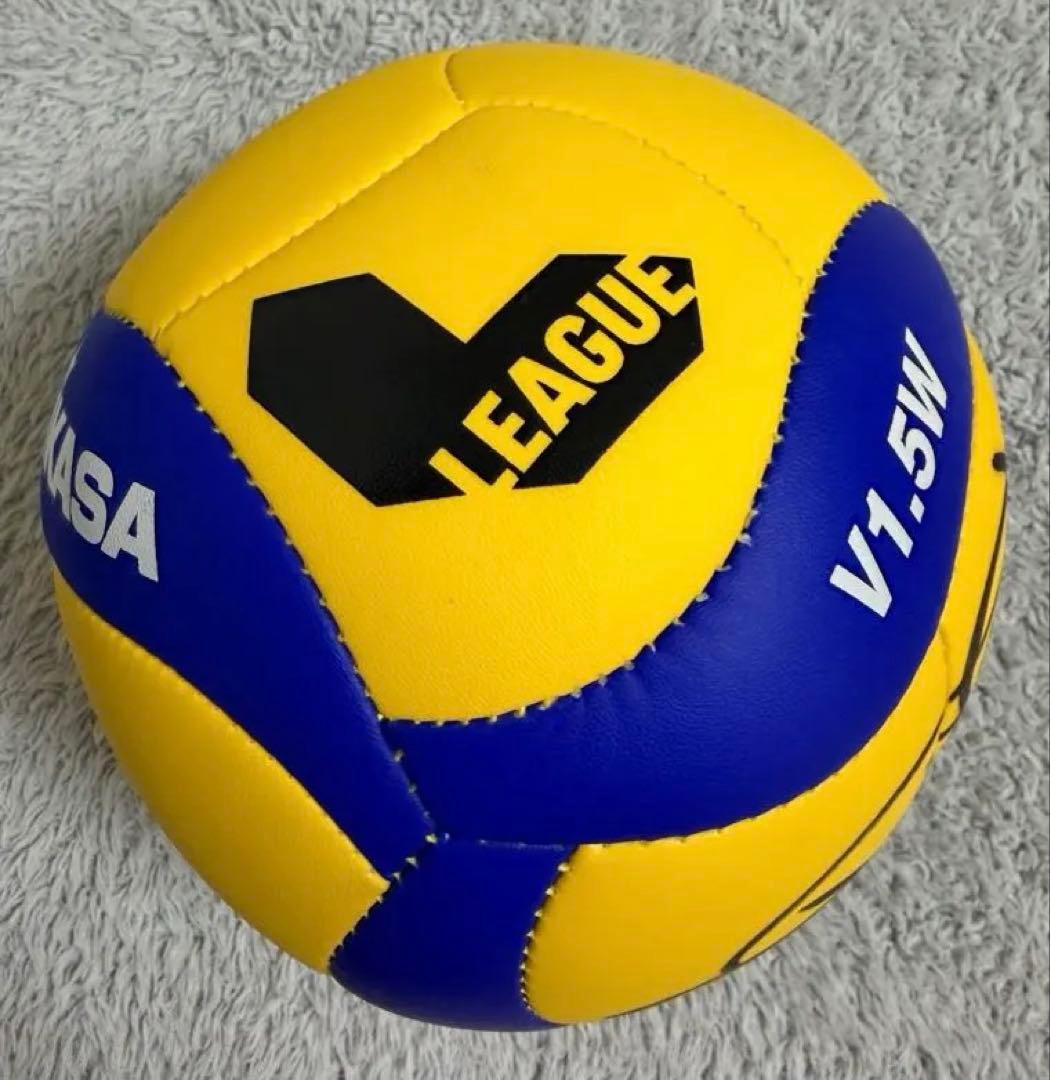 石川真佑選手直筆サイン入りミニボール　バレーボール女子日本代表