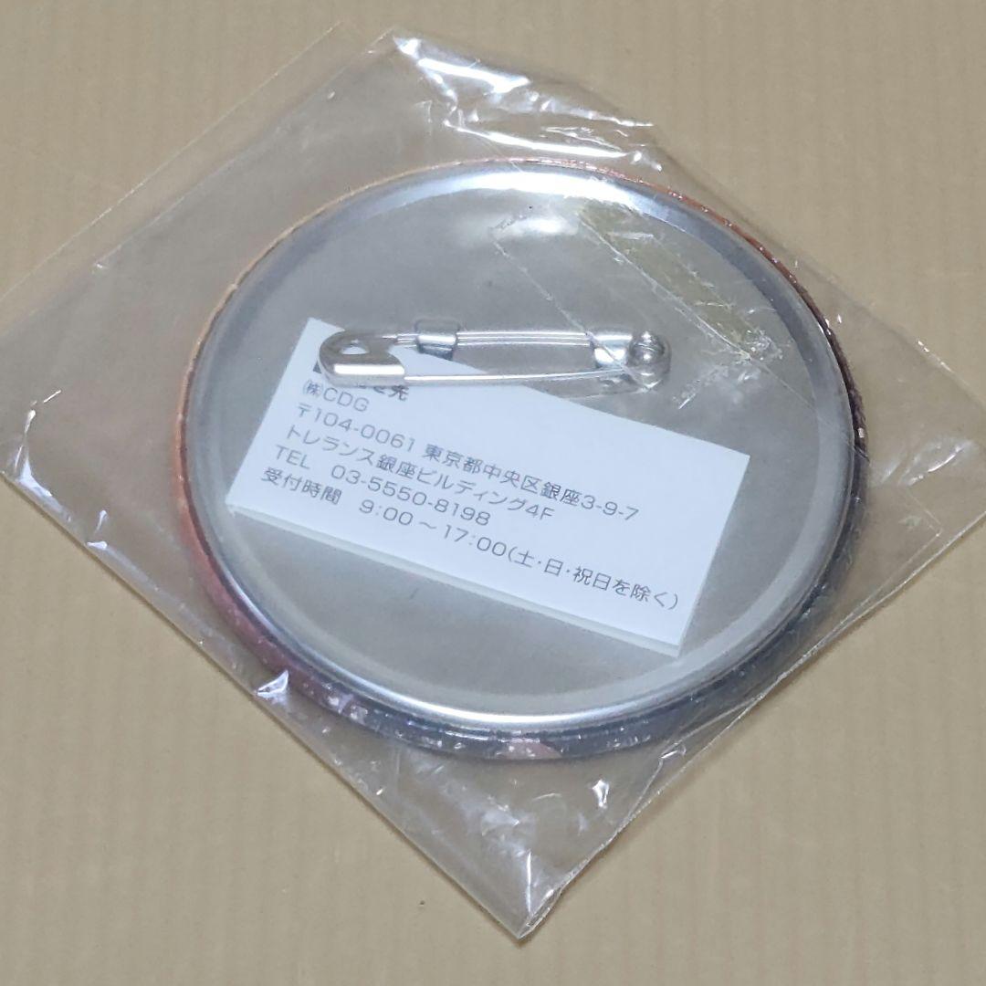 【希少】NARUTO-ナルト- ナンジャタウン 特大缶バッジ はたけカカシ