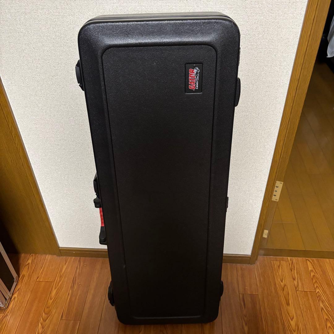 【最終お値下げ】Squier Paranormal Esquire Deluxe