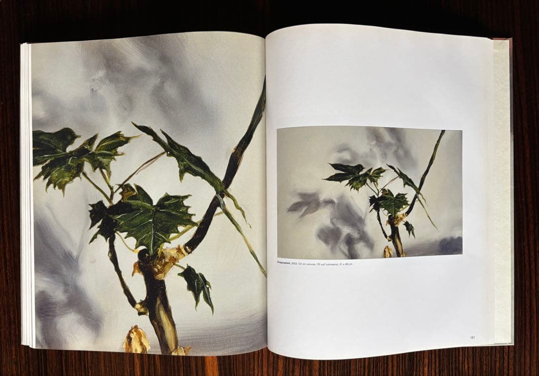 a*v様 Michaël Borremans Eating the Beard