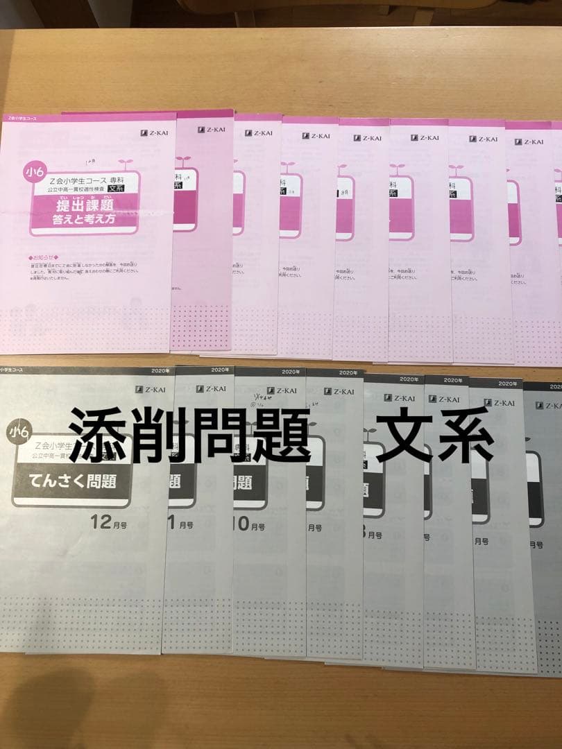 z会 エブリスタディ公立中高一貫校ハイレベル適性検査一式　小6