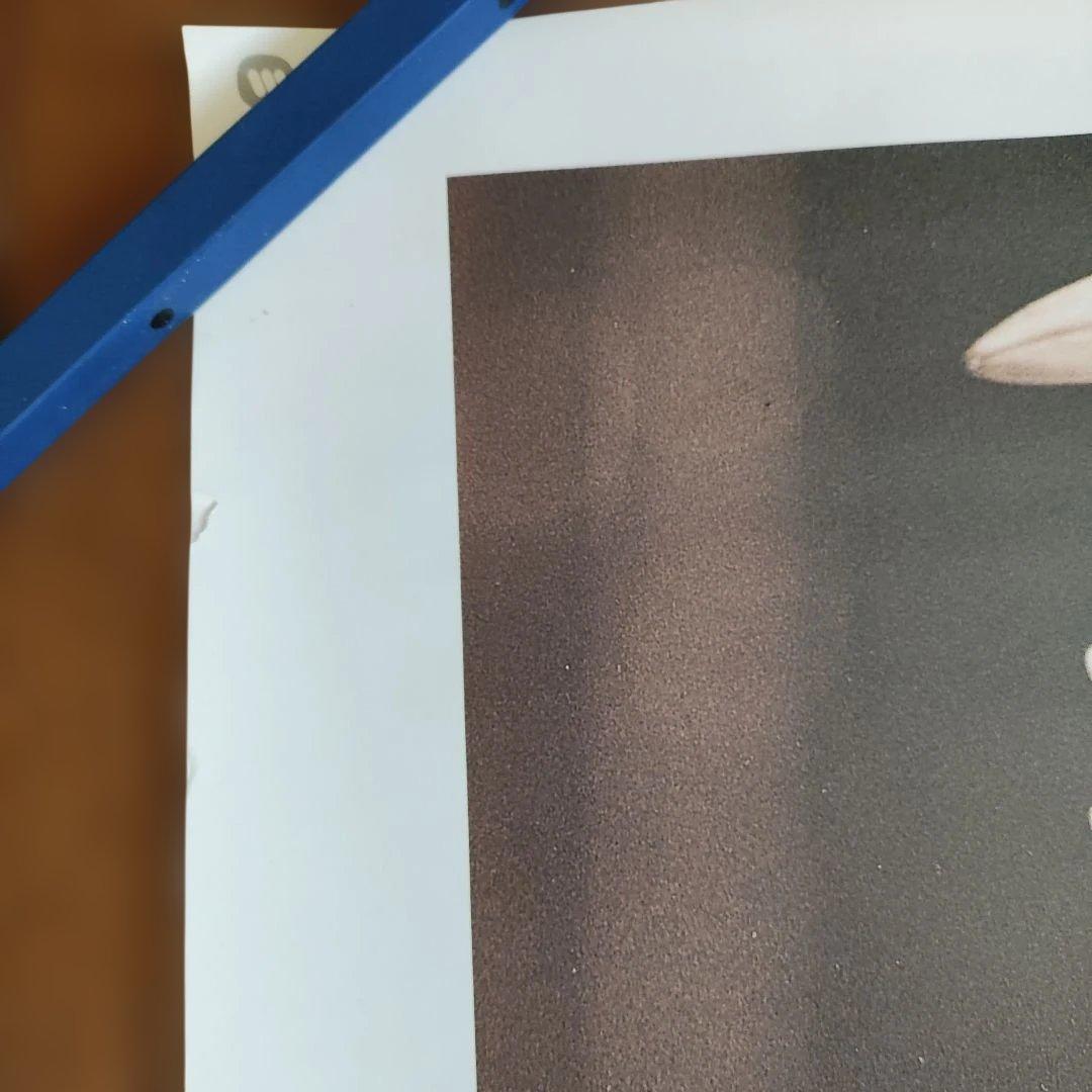 中森明菜ポスター　非売品未使用　B2サイズ