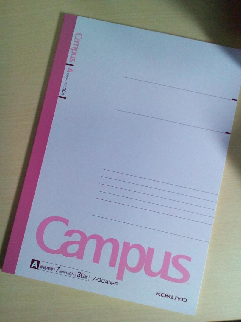 【代ゼミ】『佐々木の東大英語　佐々木和彦先生　第1回授業ノート』　　+α