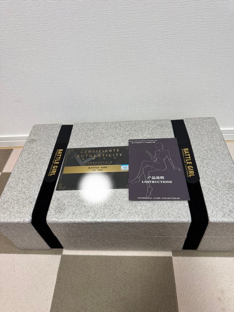 FG studio 1/3 バトルガール 春麗 チュンリー ガレージキット