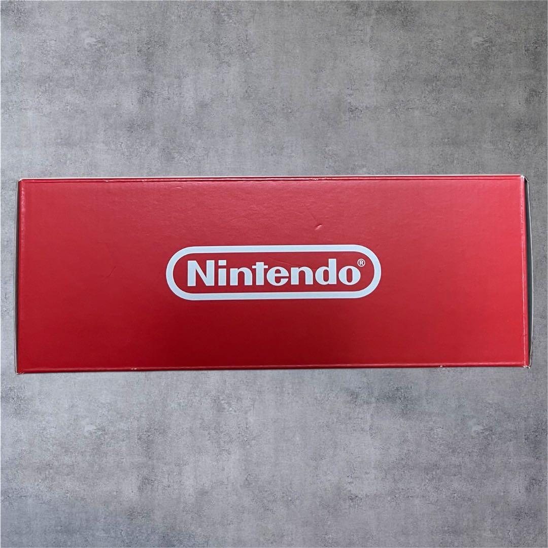 新品未使用品 Nintendo Switch Lite ターコイズ 本体