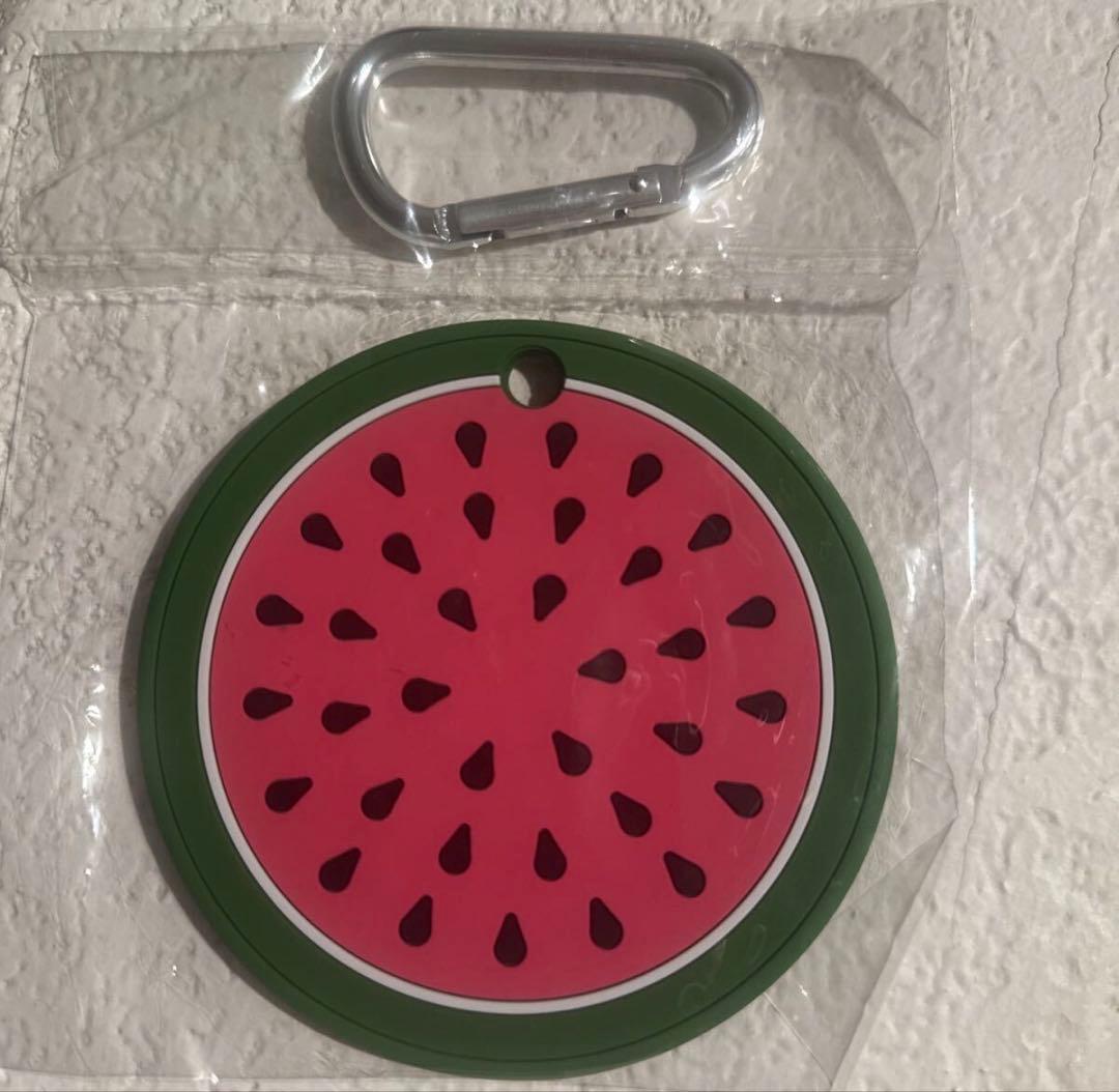 スコッティキャメロン◆スイカWatermelonパッティングディスク◆レア品