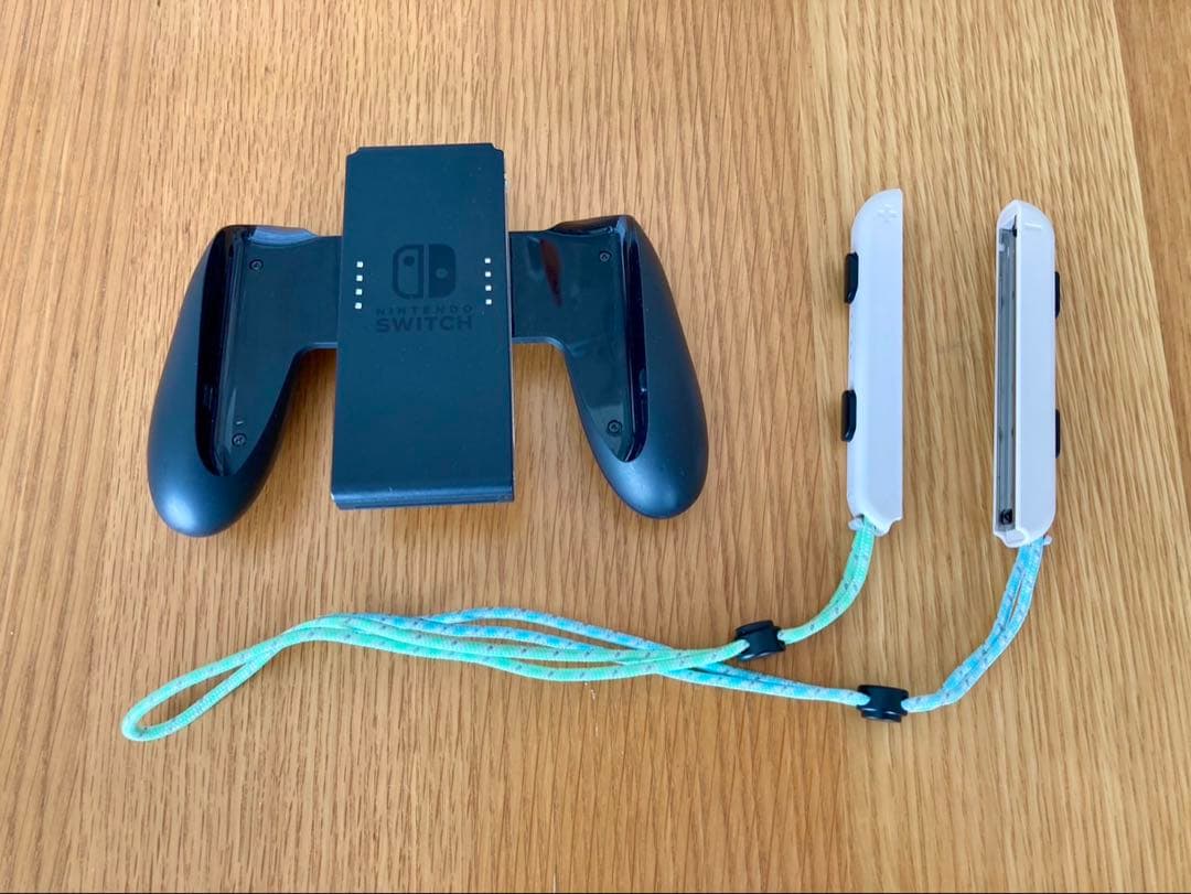 Nintendo Switch あつまれ どうぶつの森セット＋キャリングケース