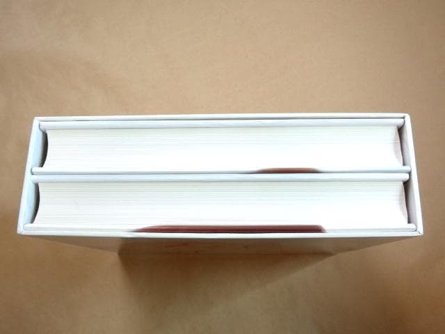 ★ 奈良美智 全作品集 1984-2010 THE COMPLETE WORKS