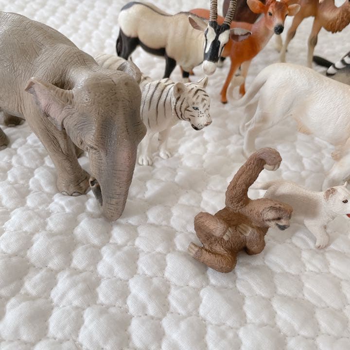 シュライヒ コレクタ 動物 フィギュア セット