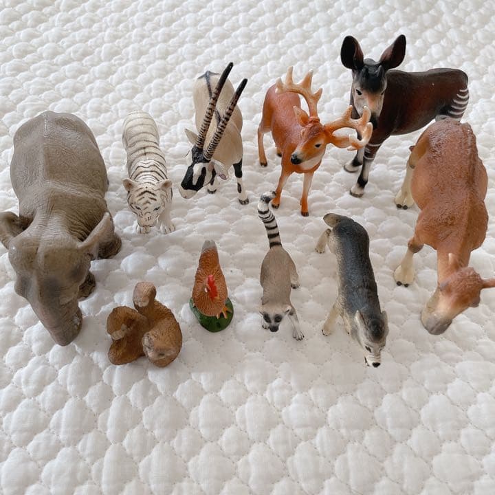 シュライヒ コレクタ 動物 フィギュア セット